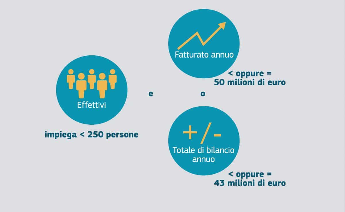 micro piccole medie e grandi imprese