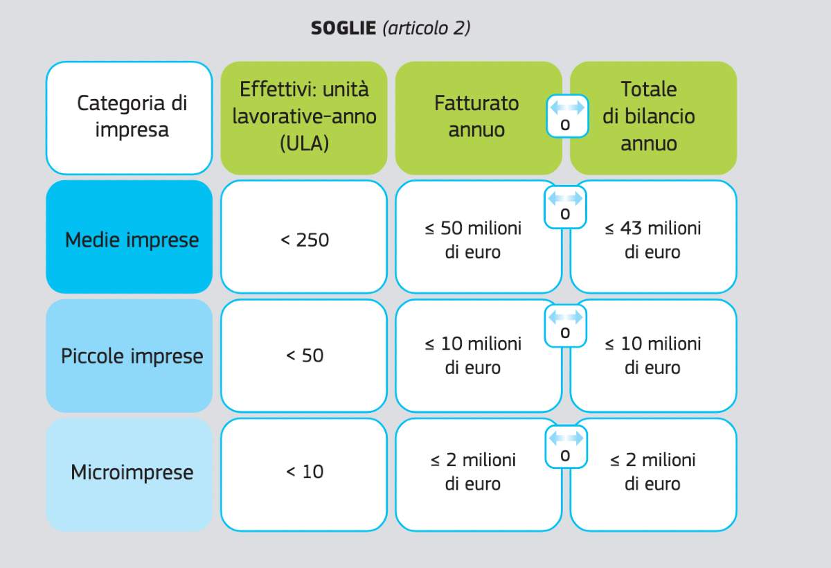 Come distinguere tra micro, piccole, medie e grandi imprese